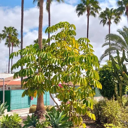 Maspalomas Paradise Holiday home Maspalomas (Gran Canaria)